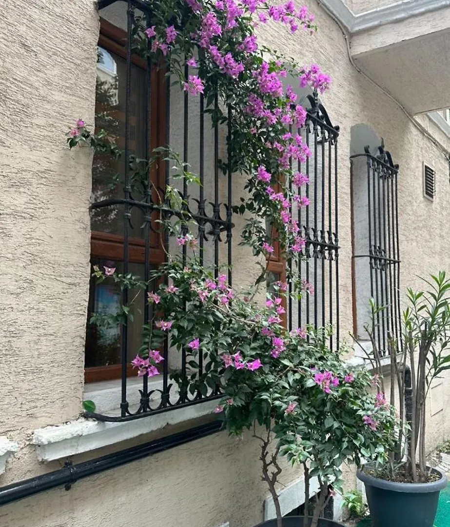 Hotel Orkide Istanbul Turkey